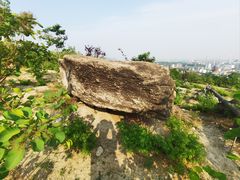 -白水寺森林公园