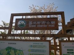 -嘉北郊野公园北游客中心-地上停车场