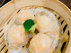 -武林厨神·粤式茶点(五羊店)