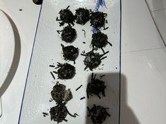 -天荷菜根·闽南素食自助(少林寺店)