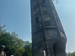 -上海佘山国家森林公园天马山园