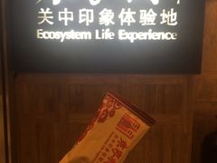 -袁家村关中印象体验地(大唐不夜城店)