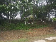 -紫颐香薰山谷景区