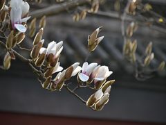 -钱王祠