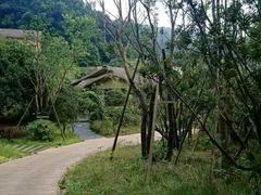 -杭州开元森泊度假乐园