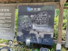 -杨家堂村