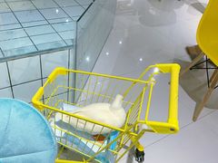 -RU DUCK柯尔鸭公社·撸鸭俱乐部·羊驼·小香猪