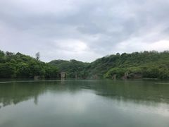 -黄椅山火山森林公园