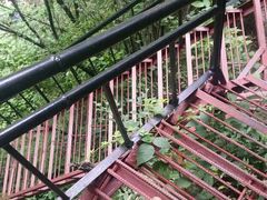 -王顺山国家森林公园
