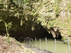 -怀托摩萤火虫洞