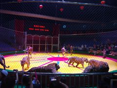 -西安秦岭野生动物园