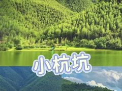 -阿露佳·舌尖上的安吉菜