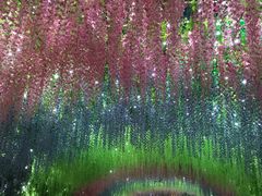 -济南方特东方神画