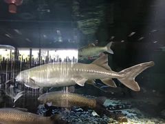 -河川生态园