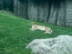 -北京野生动物园