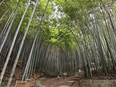 -敬亭山风景名胜区
