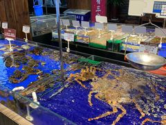 水产区-船歌·鱼水饺青岛菜(闽江二路店)