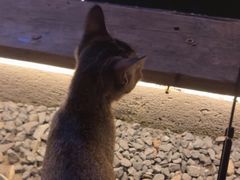-DGE季风钓虾营地·团建·聚会