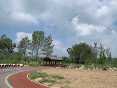 -合肥滨湖国家森林公园