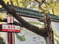 -岳麓山风景名胜区