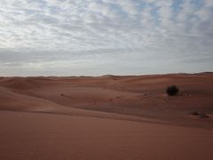-迪拜沙漠冲沙