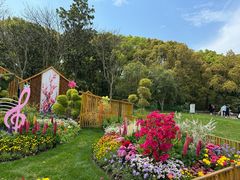 -上海共青森林公园