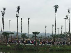 -枫香湖儿童公园