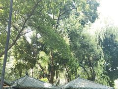 -大妙火锅·非物质文化遗产(东湖公园店)