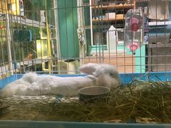 -雨林宠物医院 非犬猫异宠专科