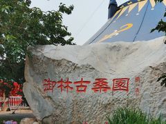 -御林古桑园