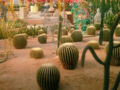 -南宫五洲植物乐园