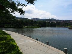 操场-厦门大学(思明校区)
