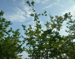 -嘉悦时光玺悦阁月子中心(九龙湖店)