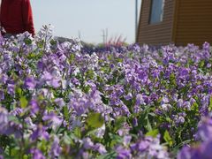 -兴芮温泉度假区