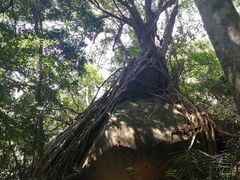 -七仙岭温泉国家森林公园