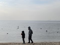 -老虎石海上公园