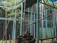-陶祖圣境风景区