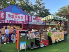 -三亚海昌梦幻海洋不夜城