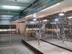 -上海大自然野生昆虫馆(东方明珠·爬宠昆虫探索中心)