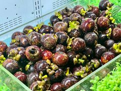 -东吴水韵(吴中店)