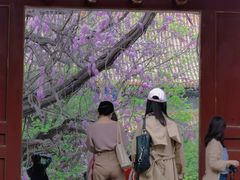 -北京国子监胡同