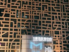 -证大喜玛拉雅中心