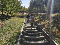 -永定河休闲森林公园