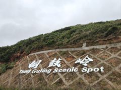 -海南铜鼓岭景区