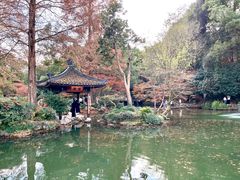 -杭州植物园