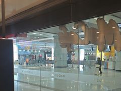 -麦当劳(火车北站餐厅)