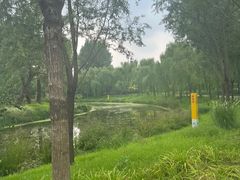 -东郊湿地公园