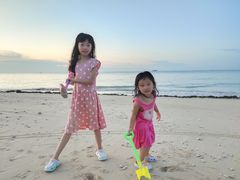 -贝壳沙滩