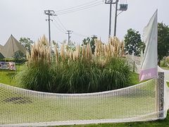 -嘉北郊野公园