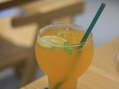 桃桃气泡水-猫里有甜